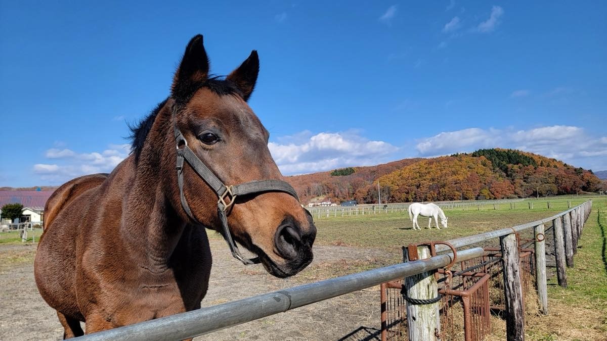 5ffbfb383590f61e14b49c66b3369b79-1763312152.jpg 5ffbfb383590f61e14b49c66b3369b79-1763312152.jpg